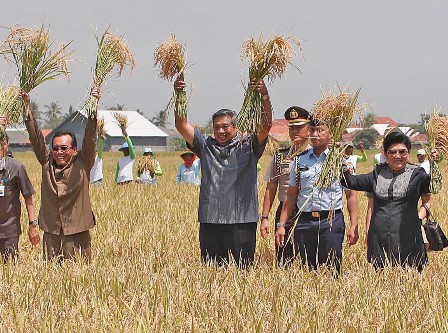 Presiden SBY Panen Padi dan Dialog dengan Petani di Cilamaya